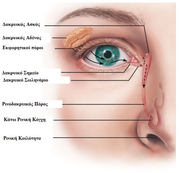 ΔΑΚΡΥΑΣΚΟΡΙΝΟΣΤΟΜΙΑ (DCR)